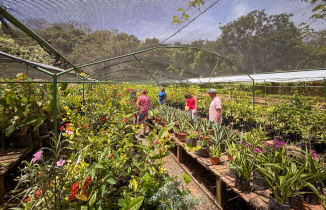 Agricultural Farm tour
